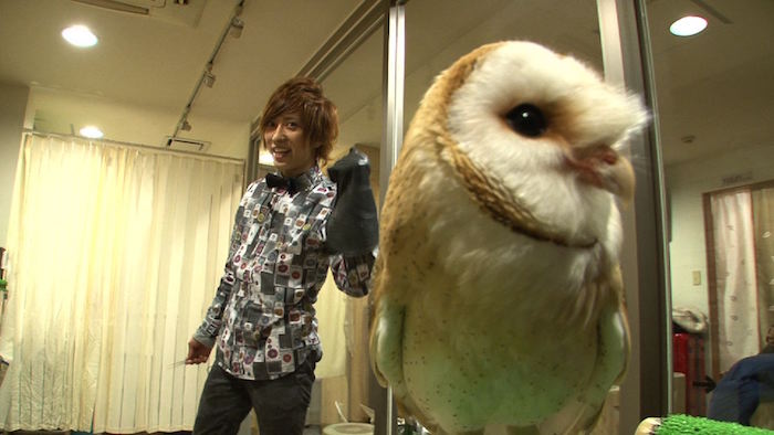 Japan in Motion Saison 12 #22” title=