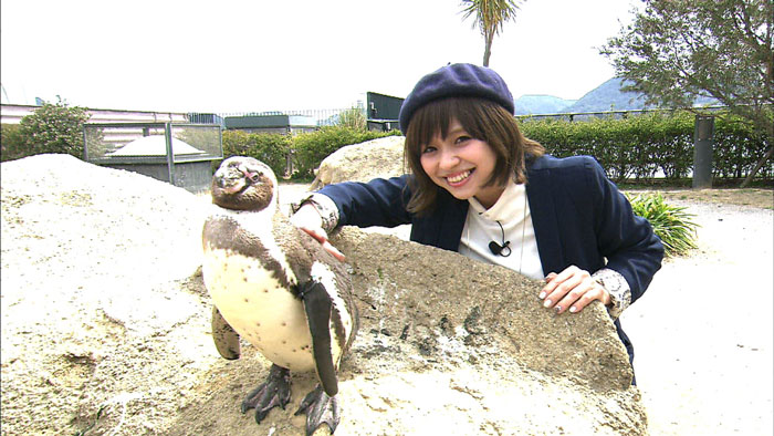 Japan in Motion Saison 12 #30” title=
