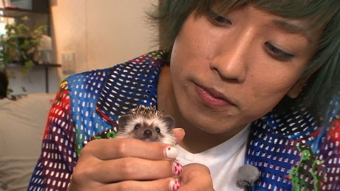 Japan in Motion Saison 12 #36” title=