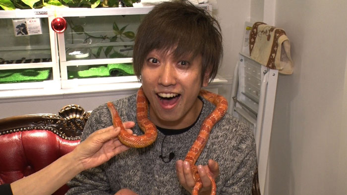 Japan in Motion Saison 13 #21” title=